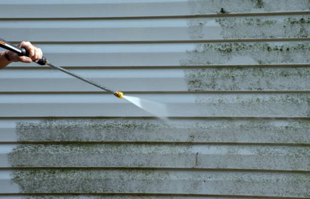 Best Driveway Pressure Washing  in Coosada, AL